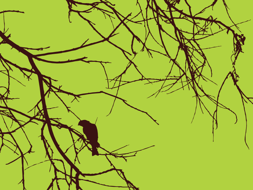 Bird on the branch vector drawing