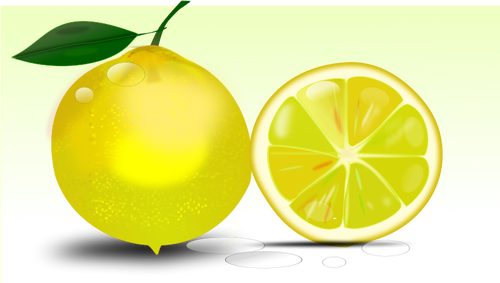 Citron vektorbild