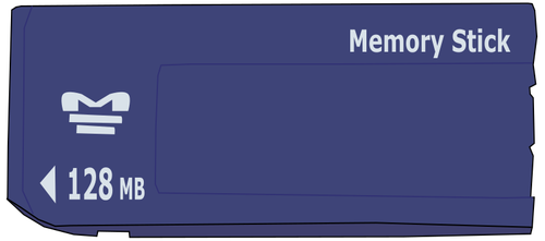 Memory stick image