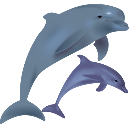 Två delfiner