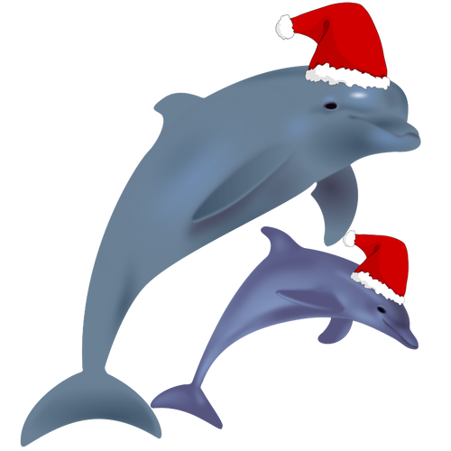 Christmas ikan lumba-lumba.