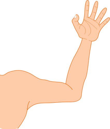 Vector Illustrasjon av tynne mannlige arm