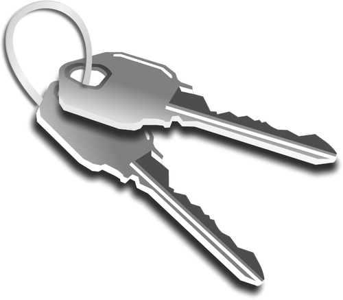 Two keys on a keychain vector graphics