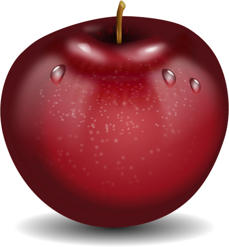 Vector de dibujo fotorrealista rojo manzana mojada