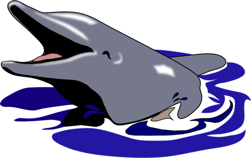 Dolphin smiling