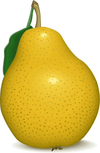 Galben pear vector imagine