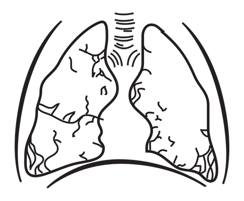 Paru-paru manusia vektor gambar