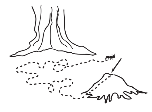 Ant-Pfad-Vektor-illustration