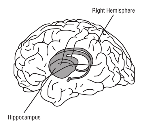 Ilustração vetorial de cérebro