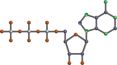 ATP-Moleküls