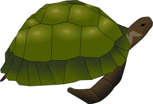 ClipArt große alte Schildkröte in grün und braun