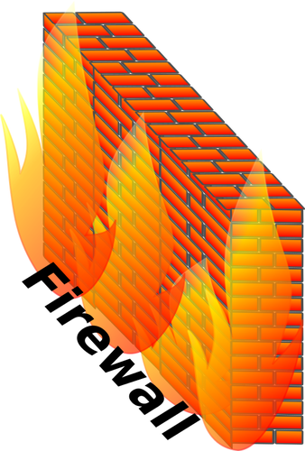 Illustrazione vettoriale di colore firewall
