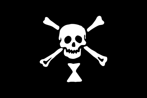 Pirat flaggan skalle och ben vektorbild