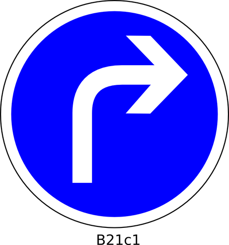 Direction droite seule route sign vector image