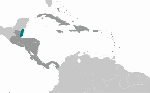 Markerade Belize bild