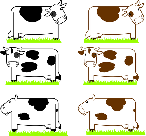 Černé a hnědé krávy obrázek