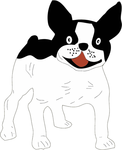 Schwarz / weiß-Hund