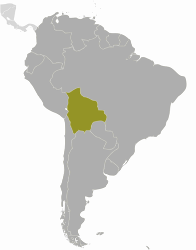 ボリビアの地図