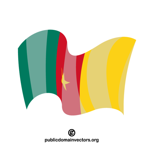 喀麦隆国家挥舞国旗
