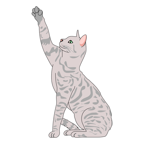 Pisica vector illustration