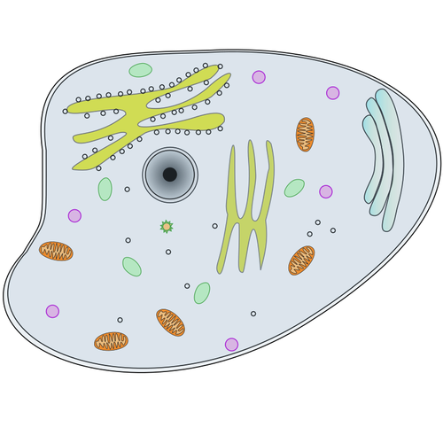 Ilustraţie de vectorul celule animale