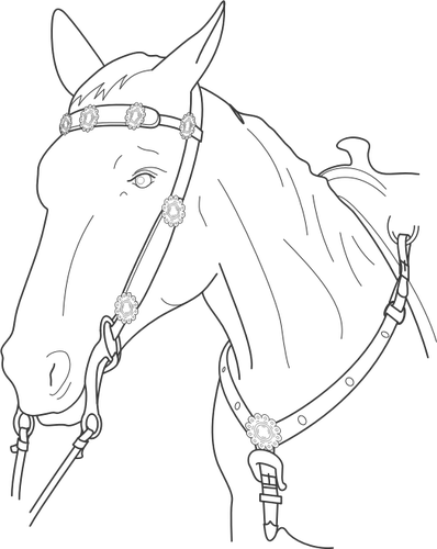 Illustration vectorielle de tête de cheval avec plomb