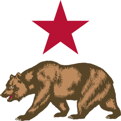 Vektorový obrázek medvěda a hvězda