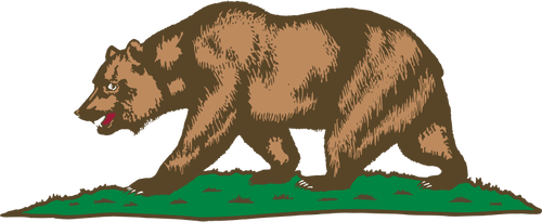 Niedźwiedź na trawa wektor wyobrażenie o osobie