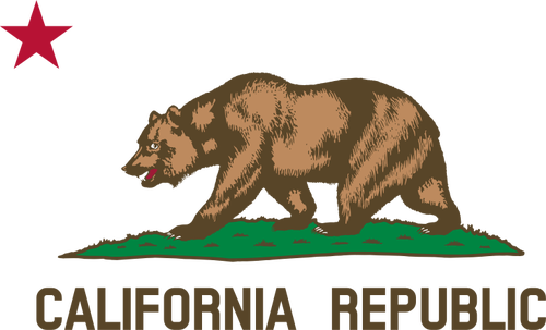 Detalj från Kalifornien Republiken vektorbild flagga