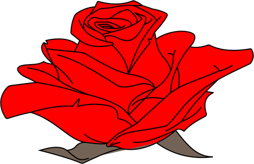 Färgade Rose