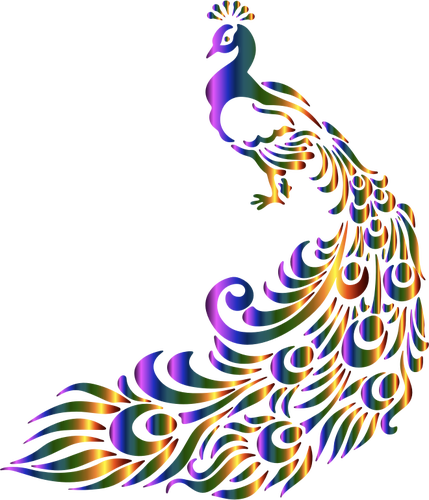 Imagem vetorial de pavão colorido