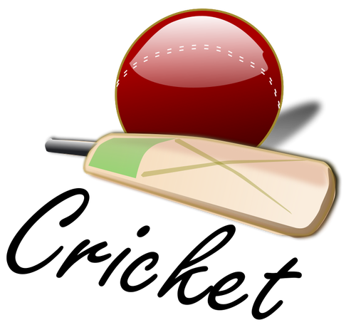 Cricket bat og ball vektor image