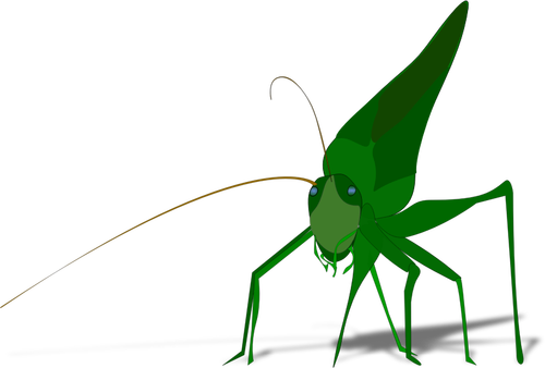 Vektorbild av grön gräshoppa