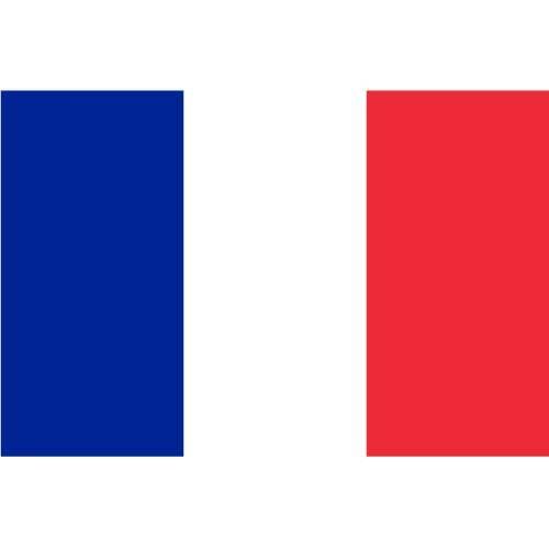 Franse vlag vector