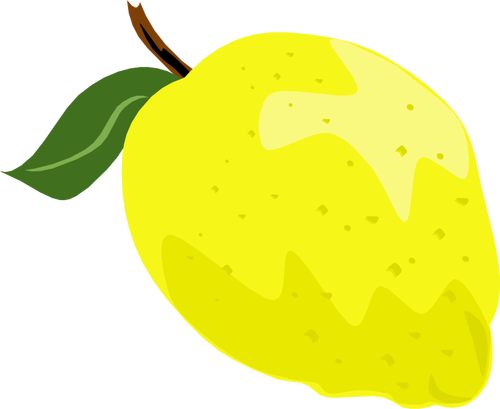 Lemon or lime vector graphics with leaf