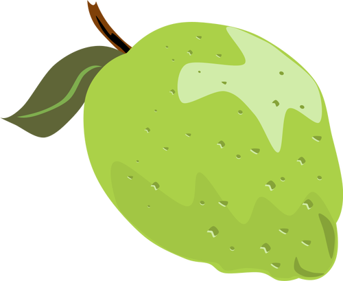 Lime vector illustration with leaf