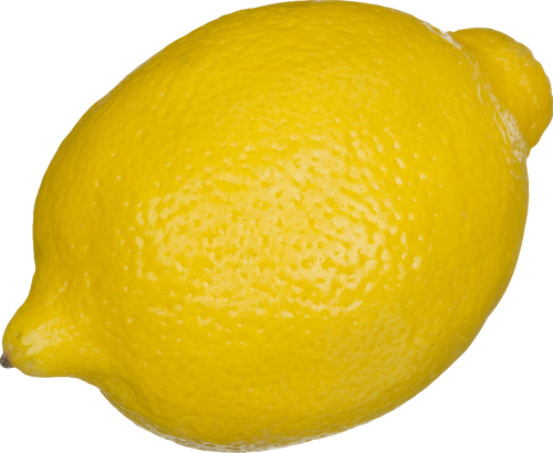 Lemon vector illustration