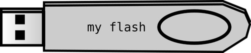 Flash disk vector image