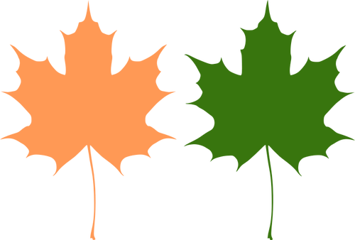 Pomarańczowy i zielony klon liści rysunek wektor