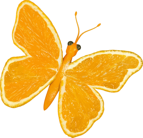 Papillon citron