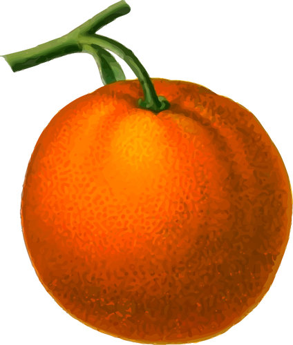 Moden oransje
