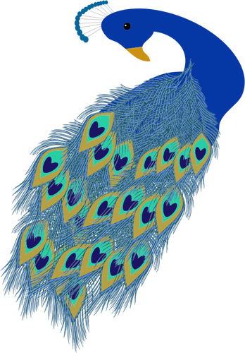 Grafis ekor burung merak biru dan kepala