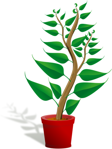 Planta verde oală vectorul ilustrare