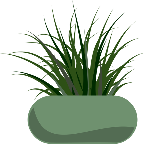 Gráficos vectoriales de hierba plantan en una jardinera verde moderno