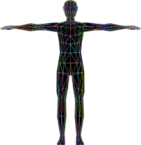 Anatomía humana colorida