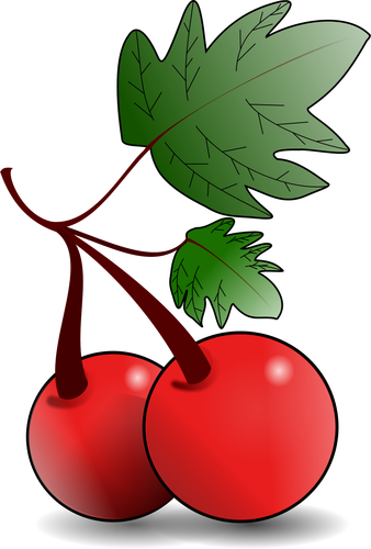Grafika wektorowa czerwone owoce