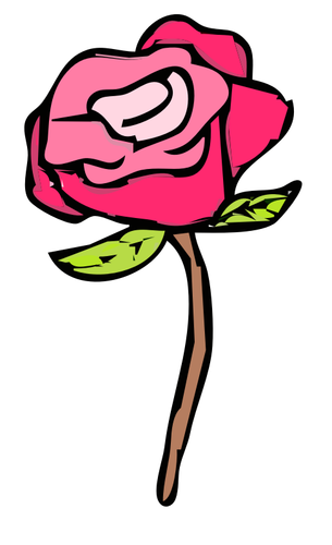 Růžová růže vektorové ilustrace