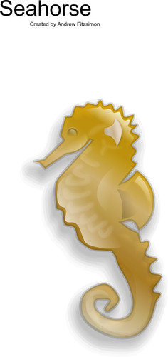 Seahorse vrouwelijke vector illustraties