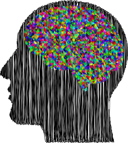 Cerebro del hombre prismático
