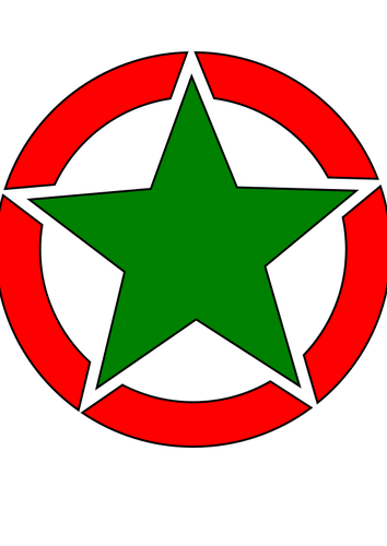 Star emblem vector image